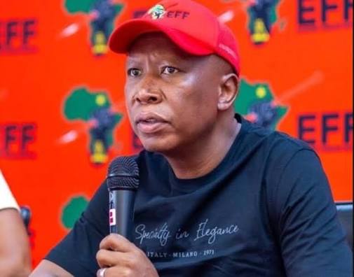 Malema calls on security cluster to quell tensions, focus on rebuilding public trust