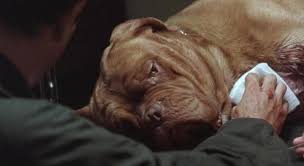 Here Are 11 Facts About Turner Hooch For You To Slobber Over