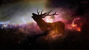 Hd Wallpaper Deer Digital Wallpaper Animals Stars Digital Art Animal Wildlife Wallpaper Flare Check out our digital wallpaper selection for the very best in unique or custom, handmade pieces from our digital shops. deer digital wallpaper animals stars