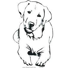 Whether you are looking for essay, coursework, research, or term paper help, or help with any other assignments, someone is always available to help. Golden Retriever Colouring Pages Novocom Top