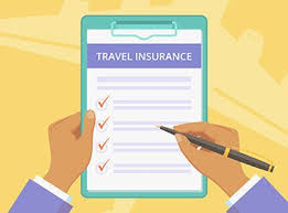 How to find affordable cover. What Information Do You Need To Buy Travel Insurance Travelex Insurance
