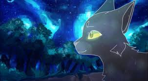 Let them try! crazy cat lady crazy cats gato angel i love cats cute cats image bleu cats wallpaper book. Starclan Clicker Tynker