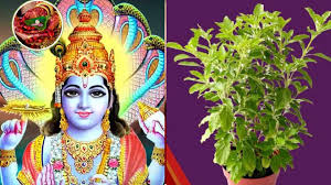 Dev Uthani Ekadashi 2024 Dos And Donts To Follow On The Sacred Fast Of Dev  Uthani Gyaras- Dev Uthani Ekadashi 2024: देव उठनी एकादशी के दिन न करें ये  काम व्रत के