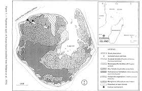 Image result for Sclerodactylon macrostachyum