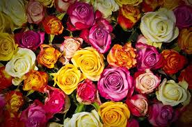 Ffand when i hear his voice it's like it's straight out of a dream. Bouquet Dream Meaning And Symbolism Dream Glossary And Dictionary