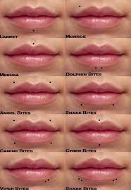 Beautiful Examples Of Lip Piercings Piercingeasily Com Mouth Piercings Lip Piercing Facial Piercings