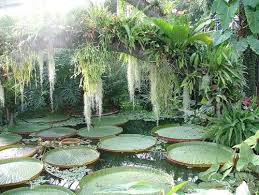 Green Perfect Wasserspiel Garten Garten Pflanzen Garten