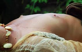 Porn brooke shields - 54 photo