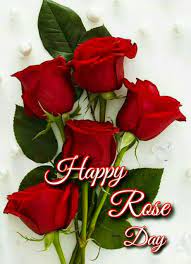 Rose Day Images For Whatsapp In 2020 Good Morning Happy Sunday Good Morning Sunday Images Happy Sunday Morning