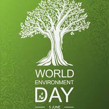 We spoke to some of you about the importance of young people being given a voice. The Most Inspiring Grants For Ngos On This World Environment Day