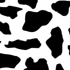 A collection of the top 11 pink cow print wallpapers and backgrounds available for download for free. Cow Print Fabric Wallpaper And Home Decor Spoonflower