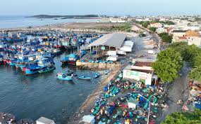 Rộn rã ngư trường Ninh Thuận đầu năm 2025