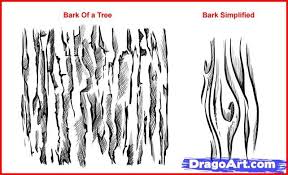 Drawing Bark And Wood How To Draw Wood Realistic Drawings Drawing Tutorial