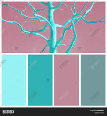Color combinations are created using the relative positioning of the colors in the color wheel. Neo Mint Pink Color Image Photo Free Trial Bigstock