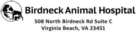 Our doctors focus on treating senior companion animals and those with terminal diseases in the comfort of your. Virginia Beach Veterinary Hospital Birdneck Animal Hospital