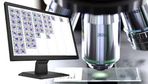 We are one of the finenss digital microscope company in taiwan. Microscope Manufacturers Companies In Taiwan Mail Https Www Pio Ota Jp 2015 03 27 Overseas Expansion Profiles Of Companies Pdf List Of 309 Microscope From 141 Suppliers In Taiwan