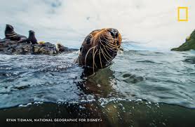 National geographic concise atlas of the world, 4th edition: National Geographic Magazine Natgeomag Twitter