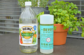 How To Make Natural Safe Homemade Weed Killer The Garden Glove