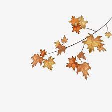 Autumn Maple Leaf Red Maple Leaf Leaves Maple Leaf Clipart Autumn Leaves Autumn Png Transparent Clipart Image And Psd File For Free Download Leaf Clipart Maple Leaf Clipart Autumn Art