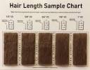 Haircut Sizes Chart