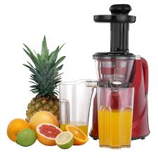 Top 10 Best Cold Press Juicer Review 2019 Masticating