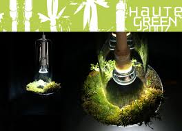 Green Light Botanical Lamp Terrarium Air Filter All In One