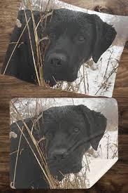 Black Lab Blanket 1lsh Labrador Blanket Duck Dog Labrador Decor Hunting Dog Sherpa Dog Bla Dog Blanket Diy Dog Blankets Labrador Retriever