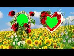 You can get this wedding frame green screen in full hd 1920x1080p and also. Vedding Photo Frame Moving Green Screen Hd Project 2 Youtube Frame Download Greenscreen Green Background Video