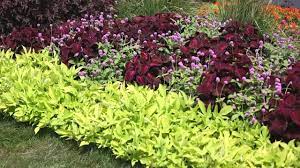 If you want to grow vegetables for canning or freezing, a bigger area is needed. Garden Landscape How To Design A Garden Youtube