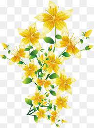 Flores Amarelas Yellow Spring Flowers Free Watercolor Flowers Flower Png Images