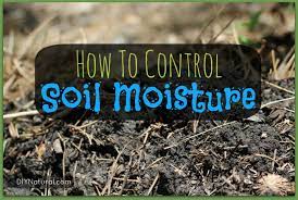 Apr 30, 2015 · add potting soil and mix well to distribute the gel granules. Soil Moisture How To Deal With Too Much And Not Enough