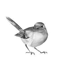 1024x471 bird black and white clip art. Watercolor Bird Robin Black And White Illustration Isolated Black And White Illustration Black And White Birds Robin Bird Tattoos