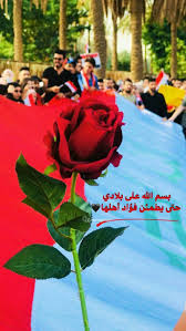 pin on iraq my country