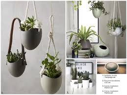 Blogue Bromont Immobilier Plante Salle De Bain Plantes Suspendues Salle De Bain
