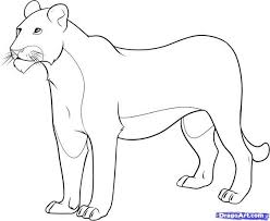 Female Lion Coloring Pages How To Draw A Lioness Step 8 Lion Coloring Pages Coloring Pages Childrens Drawings