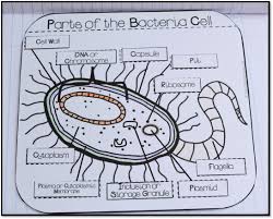 Maybe you would like to learn more about one of these? Pin On Science For Secondary Grades Biology Chemistry Physics And More