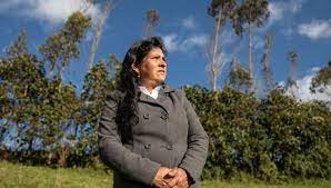 Castillo, un profesor de escuela y sindicalista que se medirá en la segunda vuelta a keiko fujimori el apoyo a castillo ha sido abrumador en regiones andinas donde la mayoría de la población es rural. Wwuasxpvoz4kam
