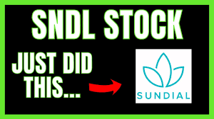 Stocks percent change top 100 stocks stocks highs/lows stocks volume leaders unusual options activity options volume leaders remove ads. Sndl Stock Dropped The Hammer Sndl Big News Price Prediction Technical Analysis Youtube