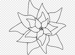 Poinsettia flowers are actually made up of the bracts, which look like petals, and the tiny yellow water plant when the soil surface feels dry to a light touch, or pot feels lightweight when lifted. Poinsettia Coloring Book Flower Flower White Child Leaf Png Pngwing