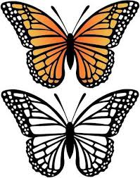 575 free images of monarch butterfly 123rf Millions Of Creative Stock Photos Vectors Videos And Music Files For Your Inspiration And Pr Butterfly Template Butterfly Printable Butterfly Drawing