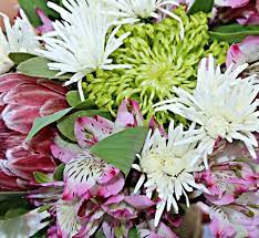 Addresses, phone numbers, reviews and other information. Latest Updates From Flora Designs Facebook