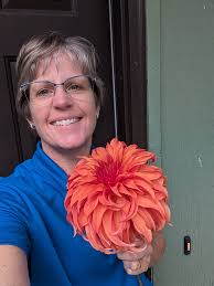 Growing Bloomquist Jean Dahlias for Competition in Portland