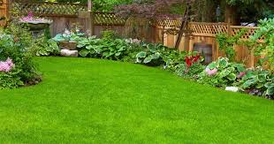 Scotts australia is now love the garden! Lawn Care Basics Scotts Australia