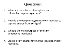 quaestio what happens during light dependent reactions