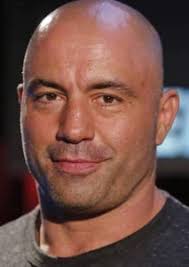 Stephen "Sheamus" Farley Fan Casting