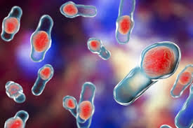 Symptoms include watery diarrhea, fever, nausea, and abdominal pain. Infectiile Cu Clostridium De La Diaree Pana La Gangrena