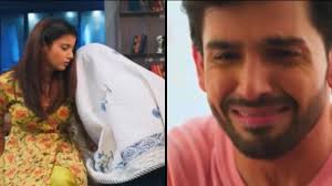 YRKKH Dadi Sa Decision Yeh Rishta Kya Kehlata Hai 05 January 2024 Episode  Armaan Cries in front of Abhira Bade papa badi maa YRKKH 5th Jan: फूफा-सा  पर हाथ उठाएंगी दादी-सा, अभिरा के कांधे पर सिर रखकर रोएगा अरमान, Tv Hindi  News
