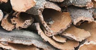 Shop tree bark at target™. We Uncover The Mexican Secret To Beautiful Hair Naturallycurly Com