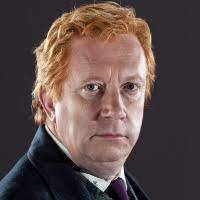 No copyright infringement was intended. Arthur Weasley Personality Trait Statistics