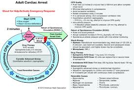 However, the main focus of the following topics is user management on the management system. Part 8 Adult Advanced Cardiovascular Life Support Circulation